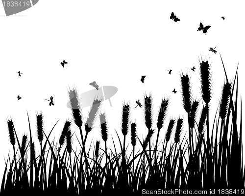 Image of meadow silhouettes