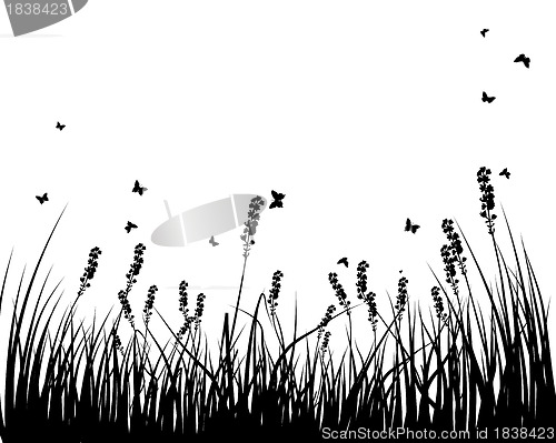 Image of meadow silhouettes