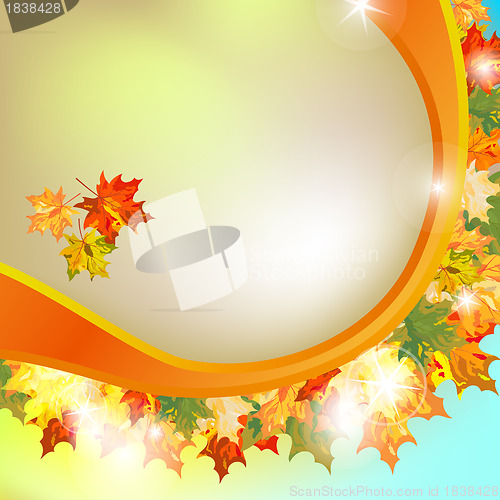 Image of Autumn maple
