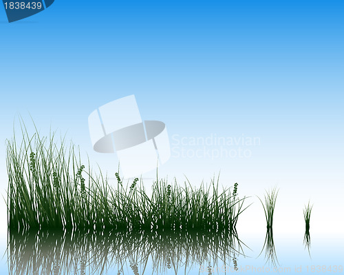 Image of meadow with reflection