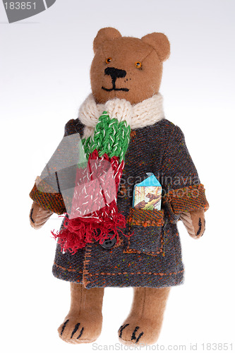 Image of Toys, Portrait of the Teddy bear