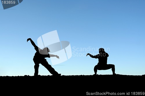 Image of Martial arts