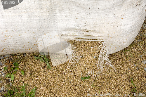 Image of Ripped open
