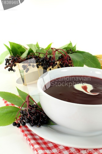 Image of Elderberry soup