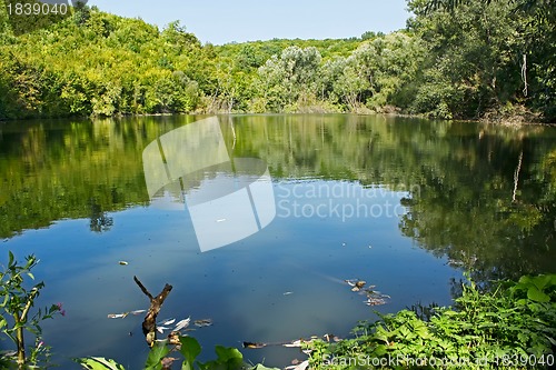 Image of Small forest lake in summertime