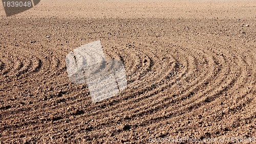 Image of Furrows on field