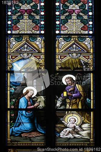 Image of Nativity scene, stained glass