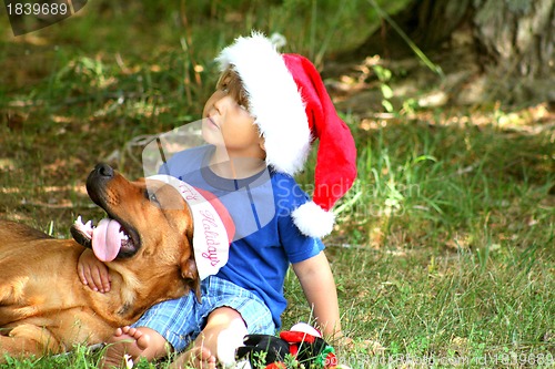 Image of Little boy wiith dog both wearing Santa hats