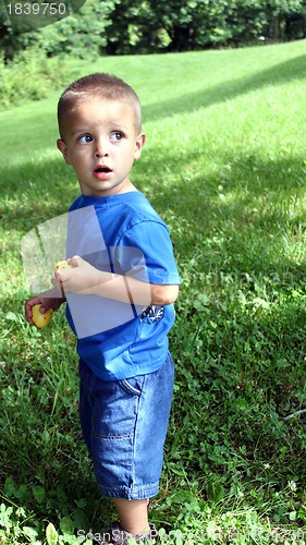 Image of Cute little boy in blue hunting Easter eggs