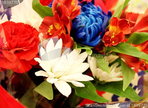 Image of Assortment of red, white and blue flowers