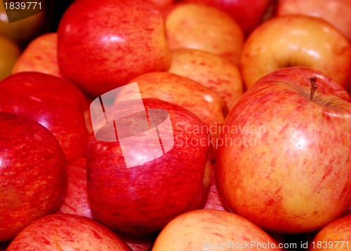Image of Ripe basket of apples