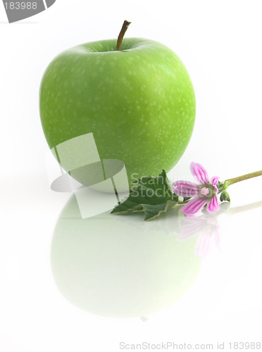 Image of Grenn Apple with flowers and reflection