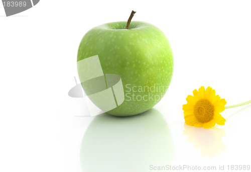 Image of Grenn Apple with flowers and reflection