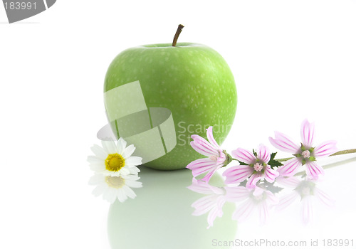 Image of Grenn Apple with flowers and reflection