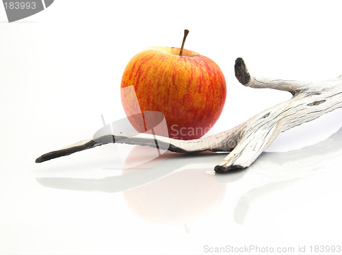 Image of Red apple with a  wooden piece