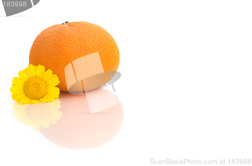 Image of Orange with a flower and reflections