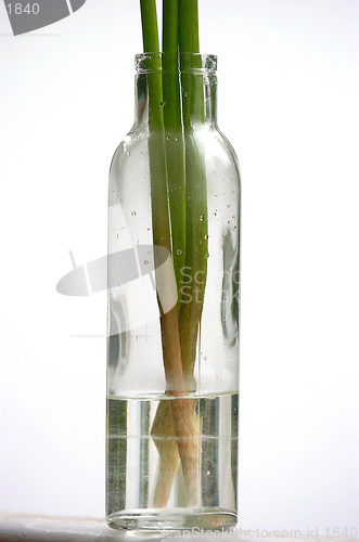 Image of 1