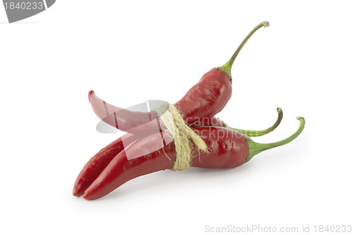 Image of chili pepper