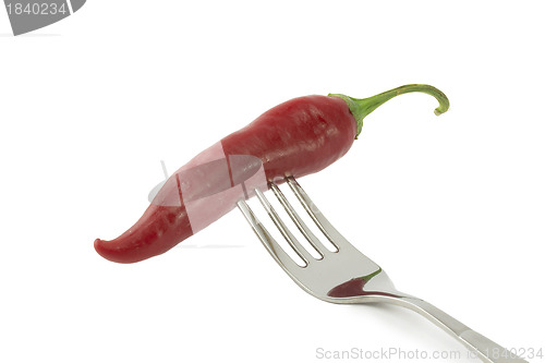 Image of chili pepper