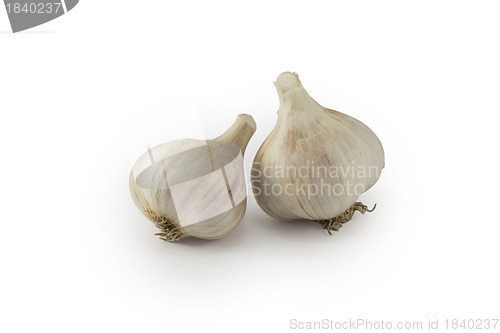 Image of garlic