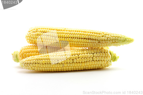 Image of ear of corn