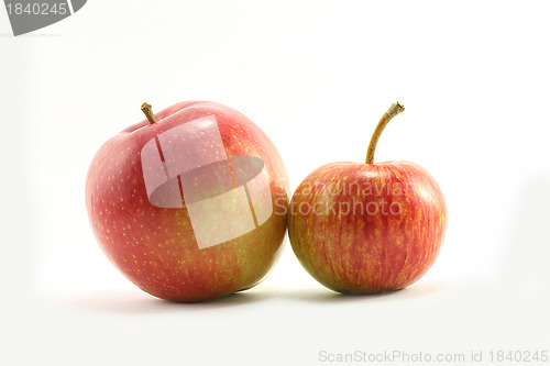 Image of Two apples