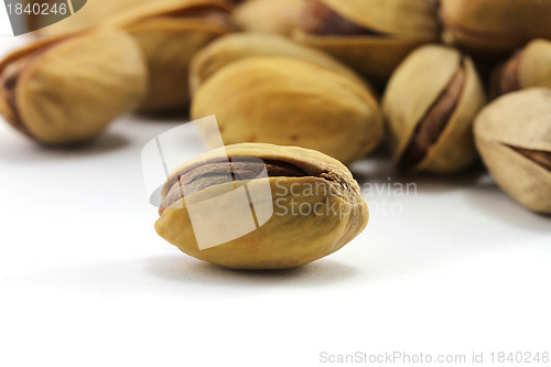 Image of Pistachio