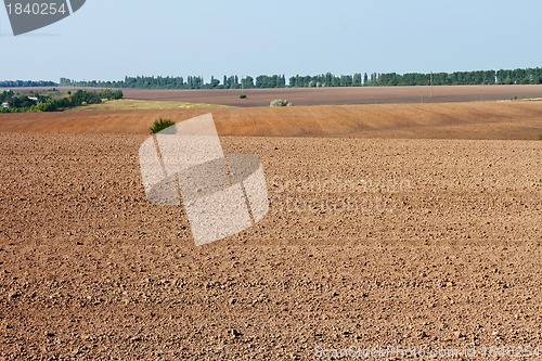 Image of Field near the village