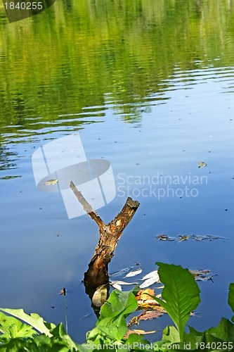 Image of Wooden slingshot in water