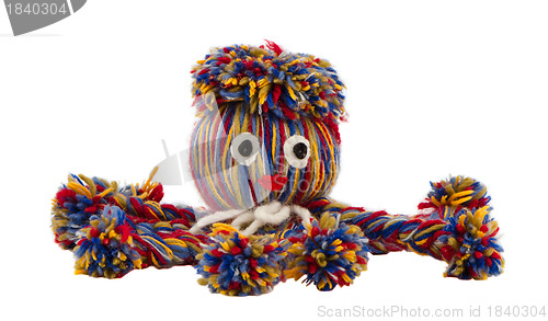 Image of octopus devilfish colorful woolen threads isolated 