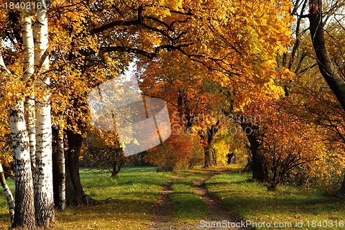 Image of way in the park 