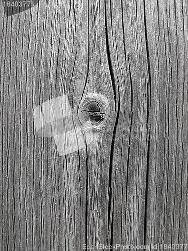 Image of Wooden texture