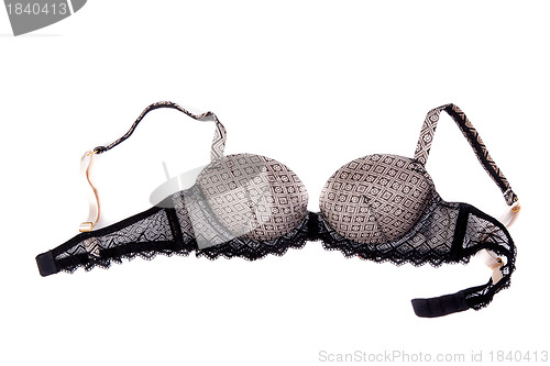 Image of The bra is