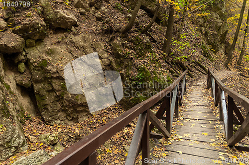 Image of Small bridge in the woods