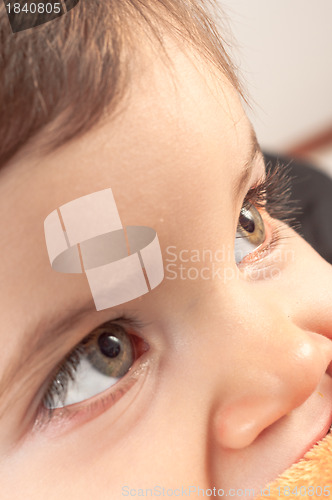 Image of Photo of a young toddler