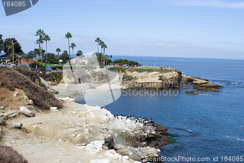 Image of Beach in La Jolla