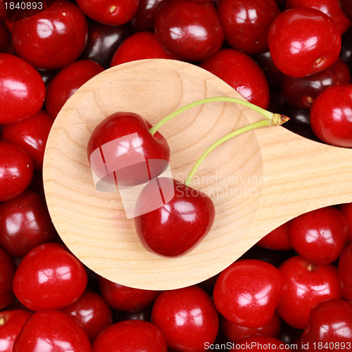 Image of Fresh Cherries