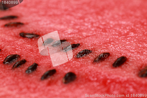 Image of Close-up of a watermelon