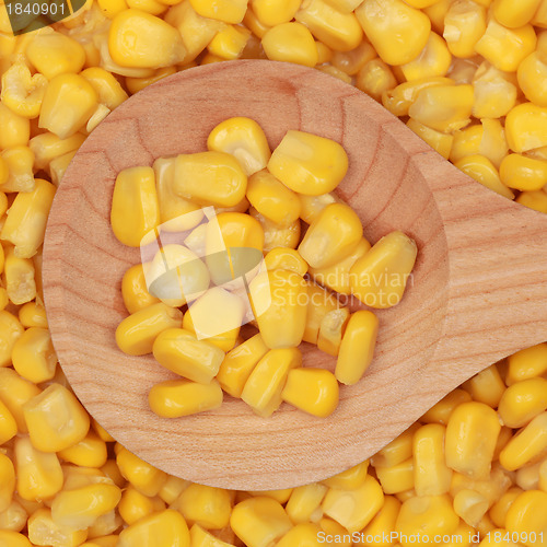 Image of Corn on a wooden spoon