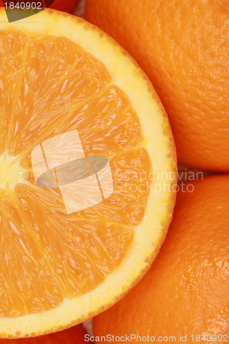 Image of Orange