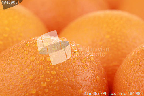 Image of Oranges