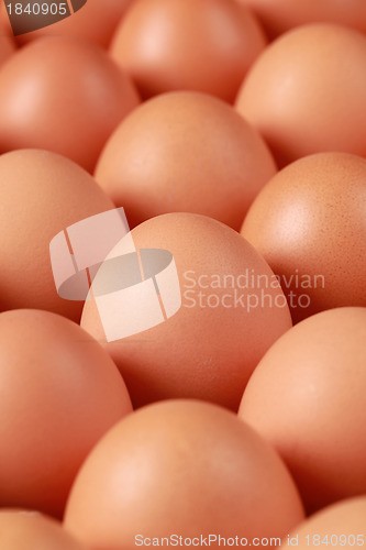Image of Brown eggs in a row