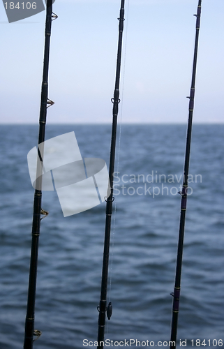 Image of fishing poles