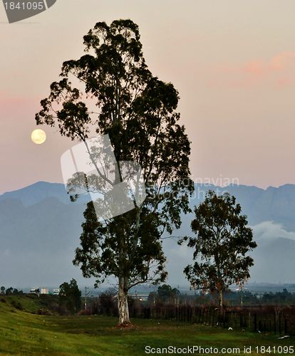 Image of Full Moon