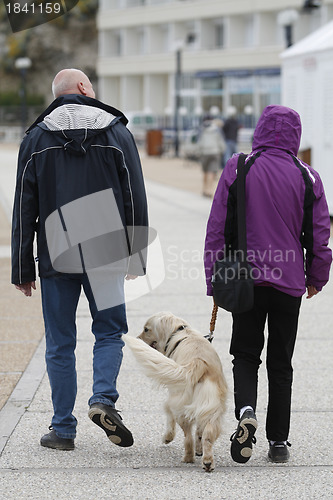 Image of Walking the Dog