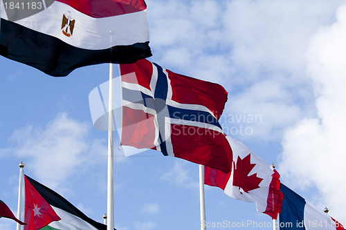 Image of Flags