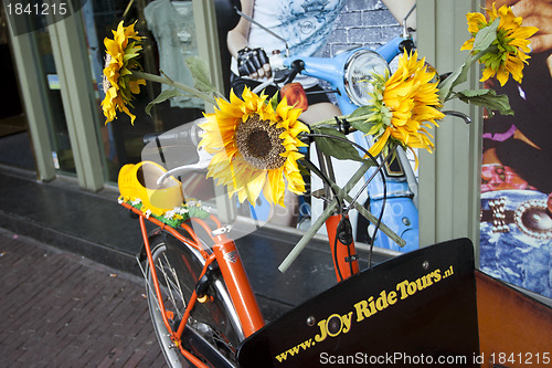 Image of Flower Bike