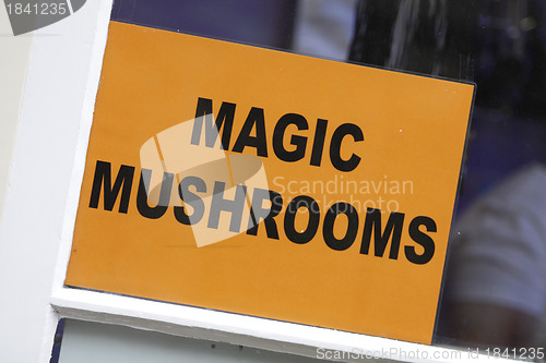 Image of Magic Mushrooms