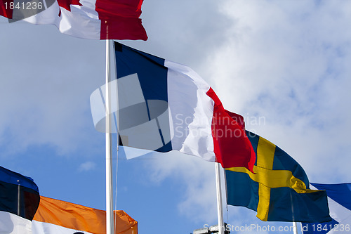 Image of Flags