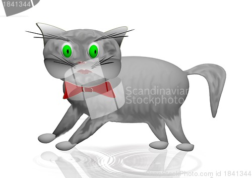 Image of gray cat